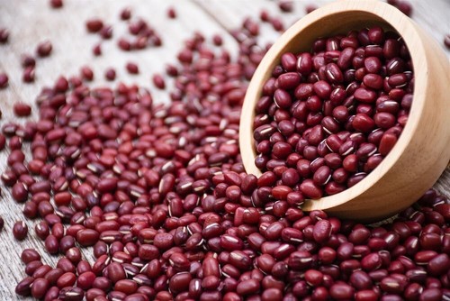 Adzuki soybean seeds for - adzuki,
